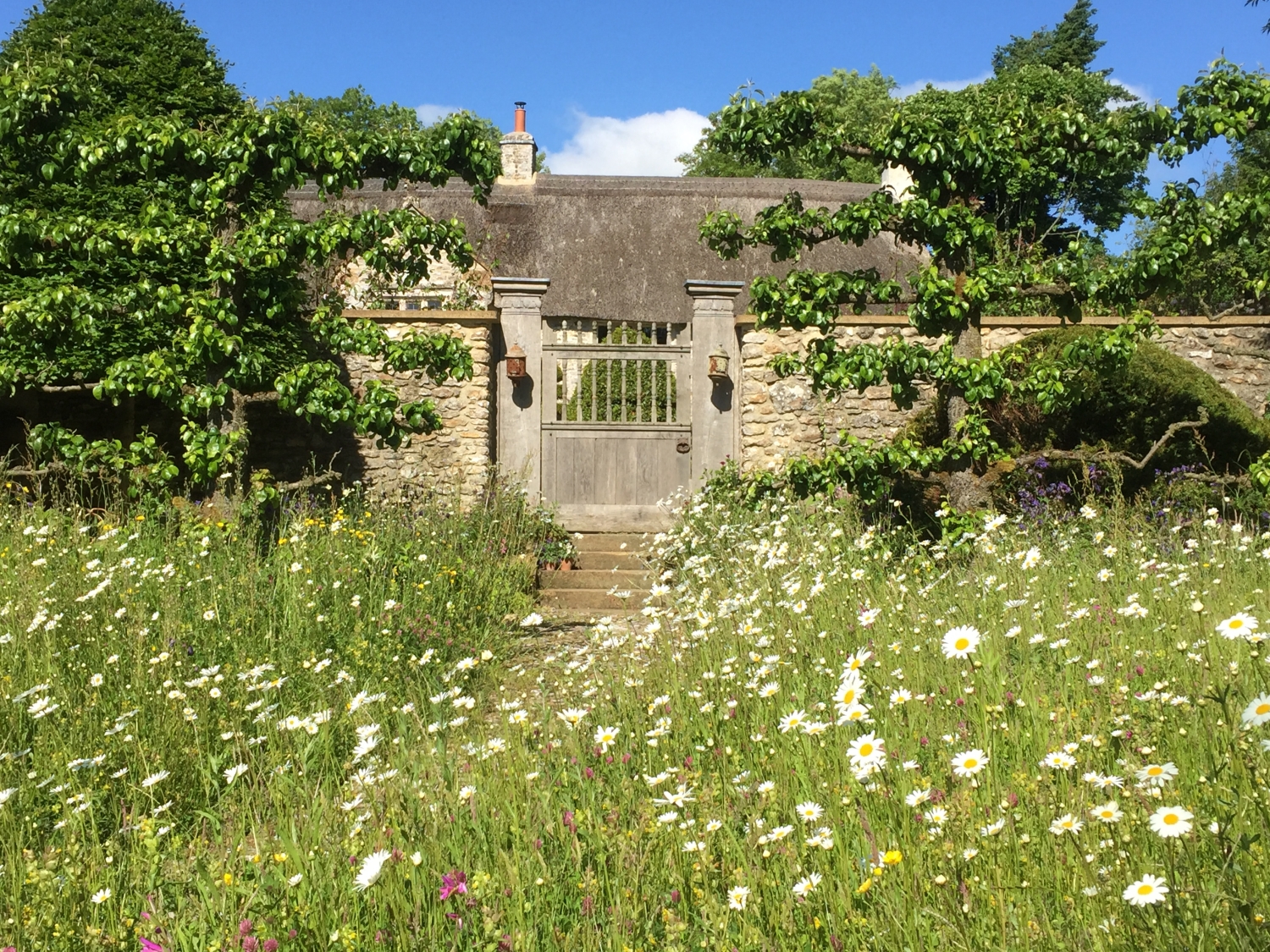 South Wood Farm, Honiton, Devon, EX14 9HU National Garden Scheme